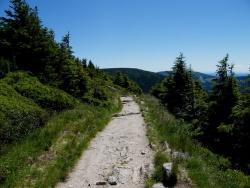 Horský půlmaraton - Krkonoše