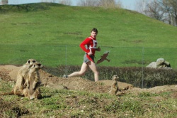 Safari bh 2017